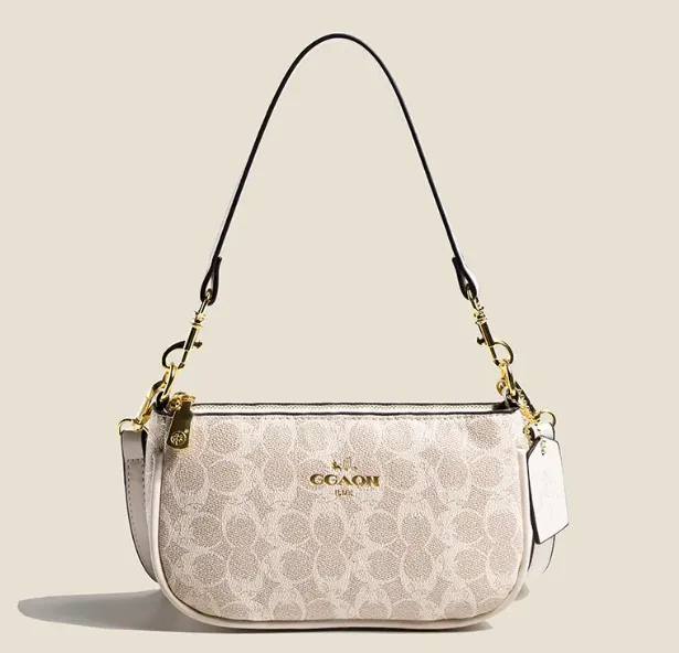 DHgate Coach Shoulder Bag Dupe