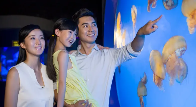 Best Time to Visit Singapore’s Zoos & Aquariums for Discounts and Promotions