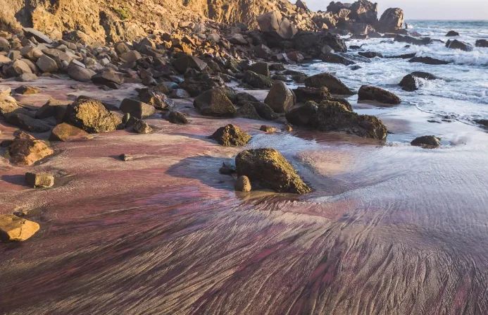 Pfeiffer Beach, California