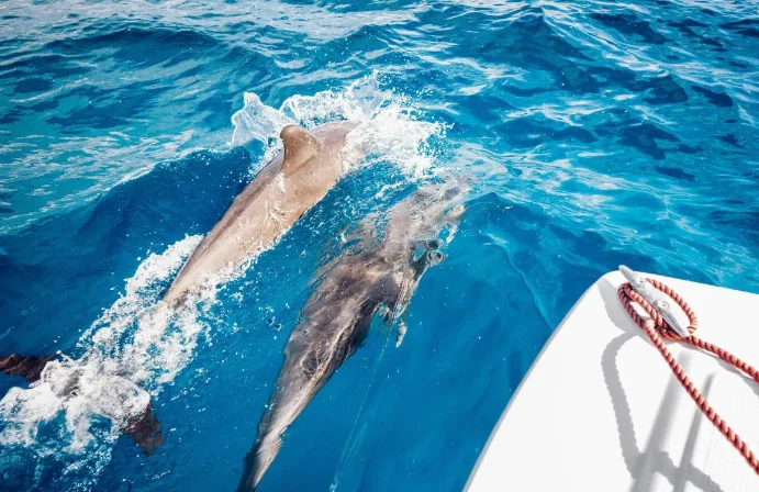 Oxnard Beach Park, California