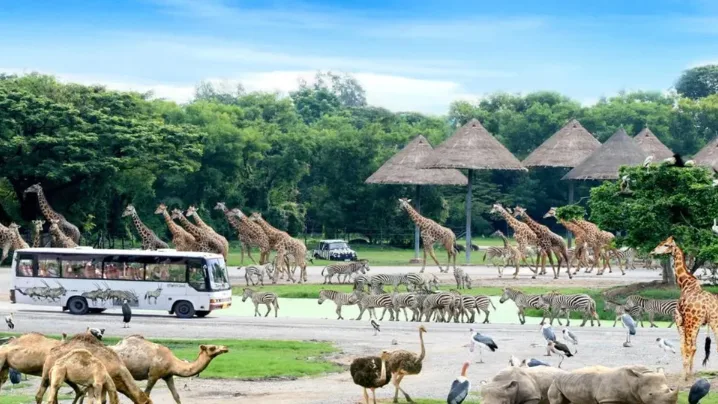 Thailand Tours & Activities