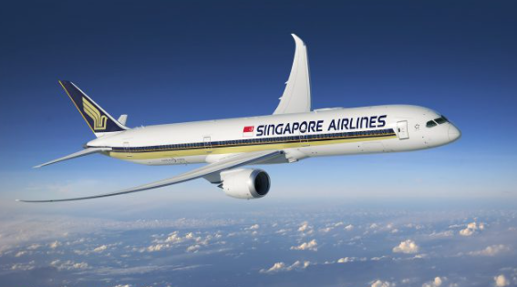 Singapore Flight