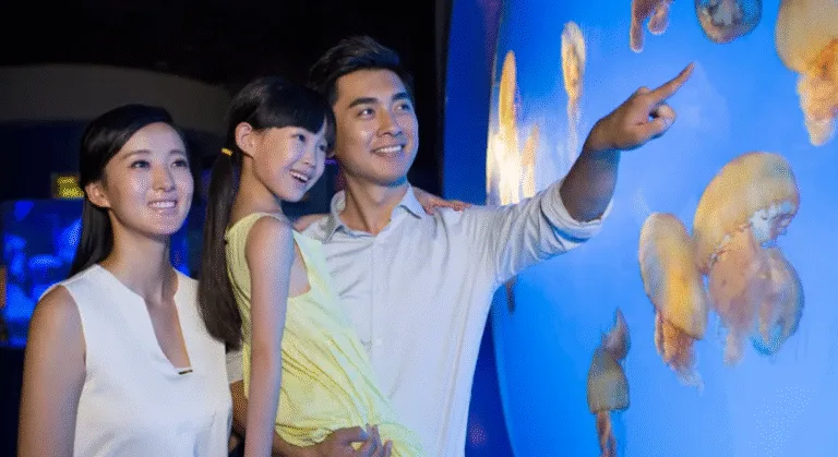 Enjoy savings on On Singapore Zoos and Aquariums using promo codes